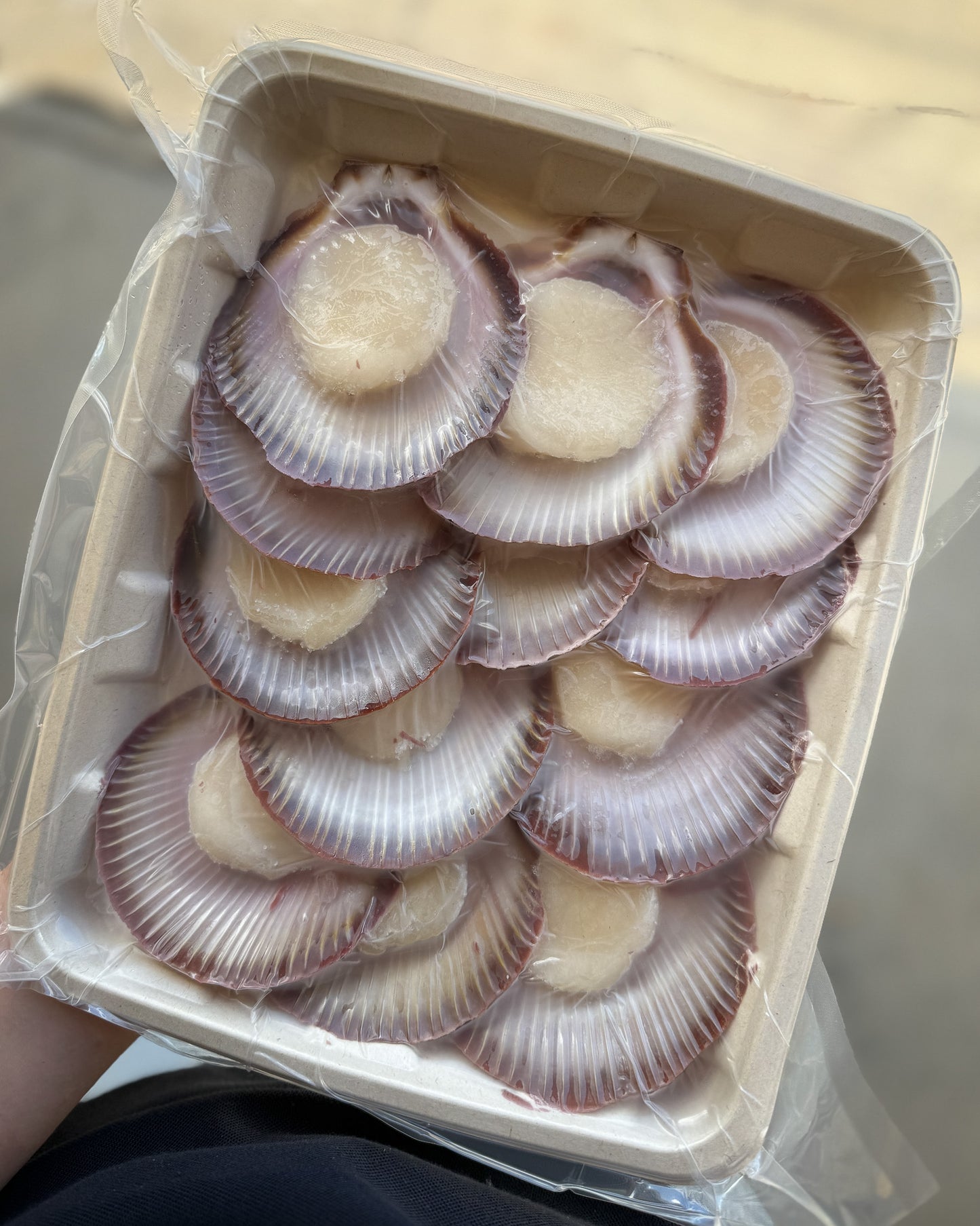 1/2 Shell Scallops