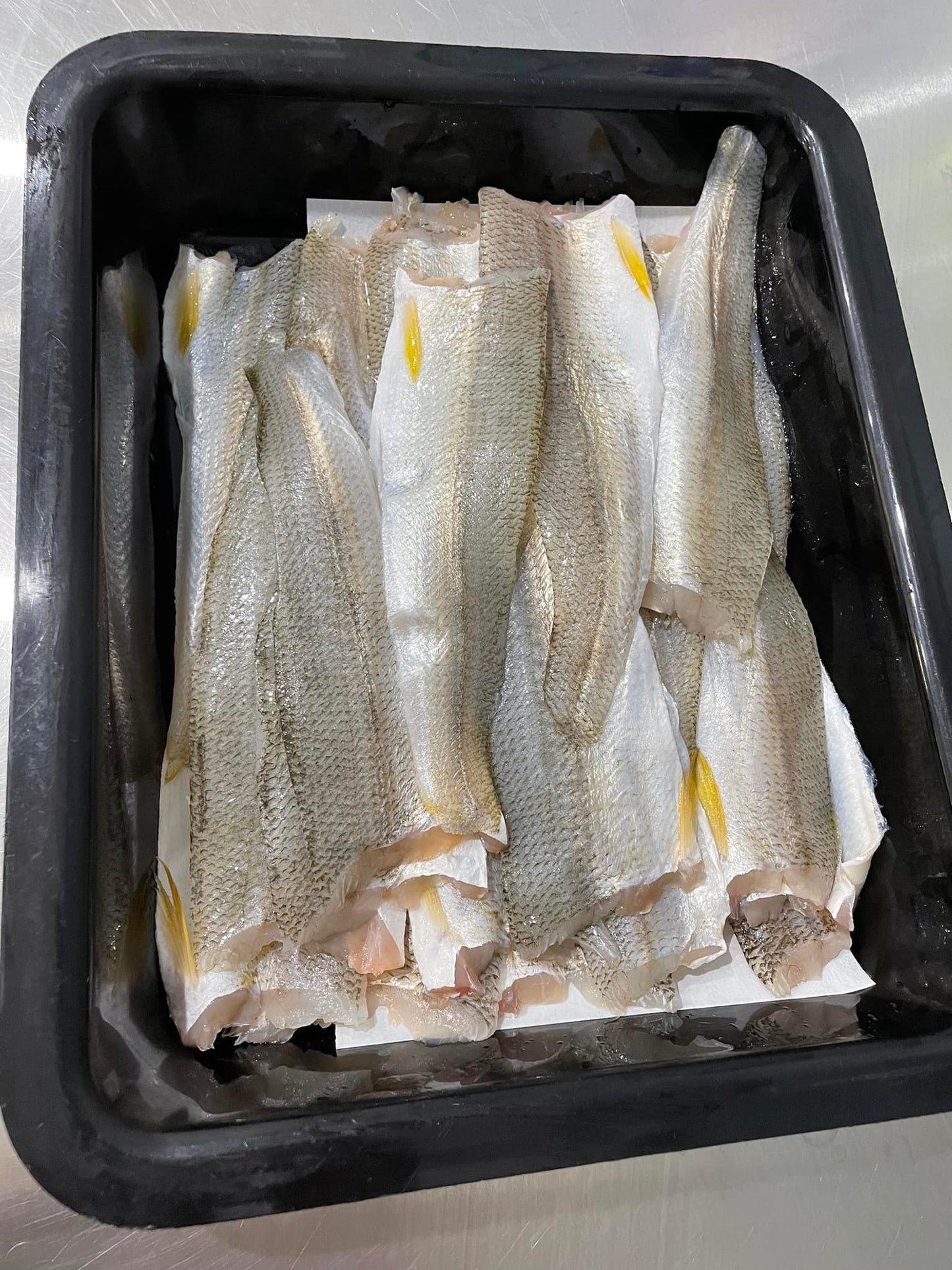 Yellow Fin Whiting