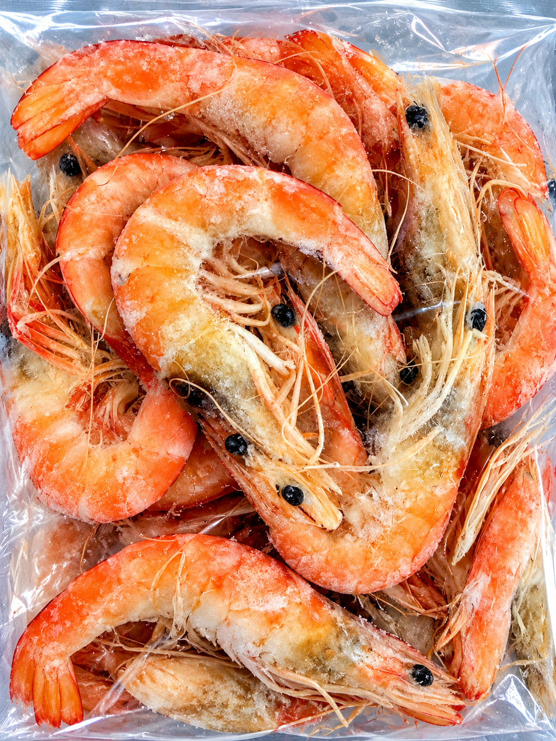 Prawns
