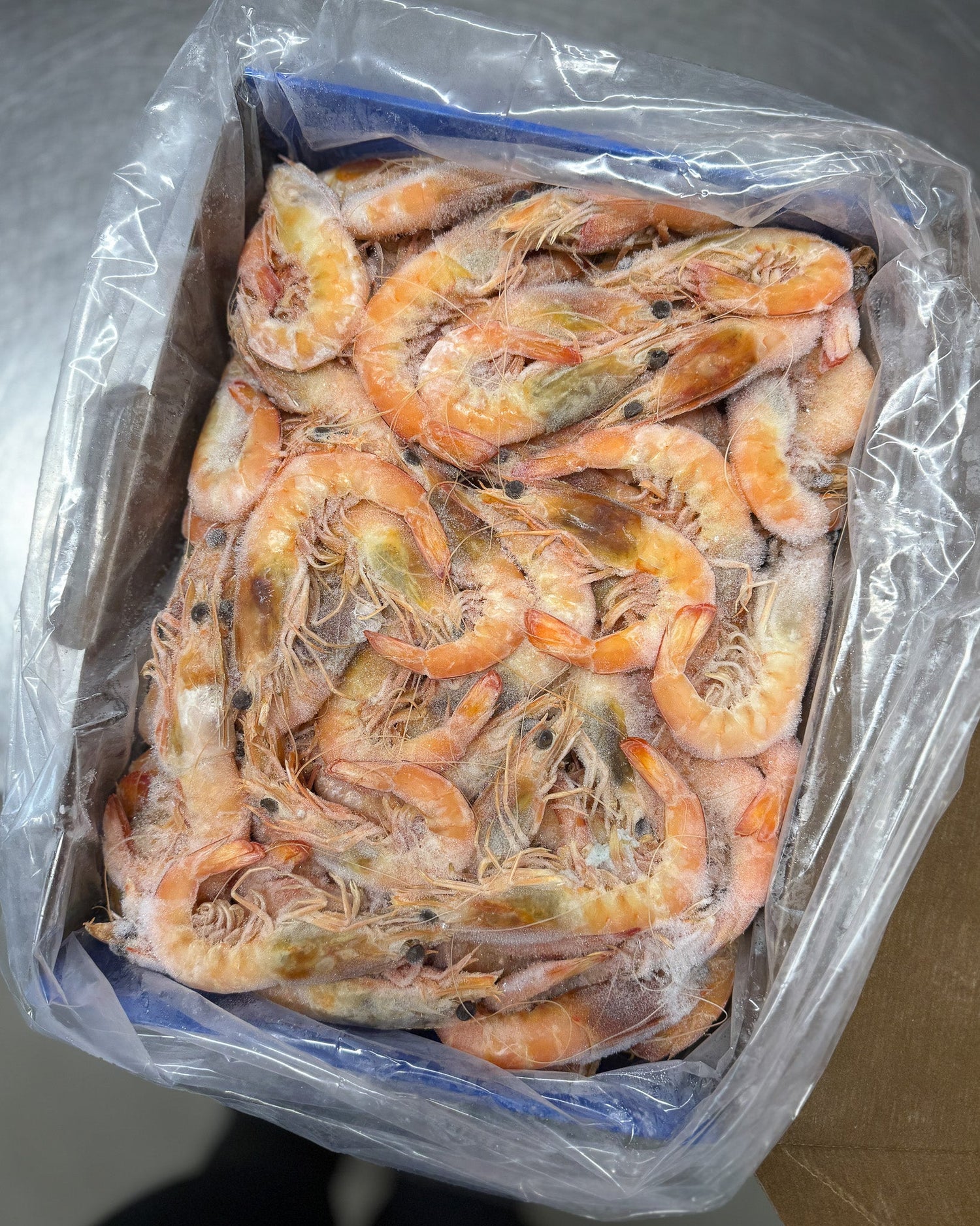 Prawns