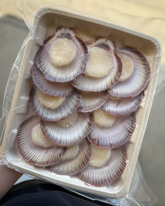 1/2 Shell Scallops