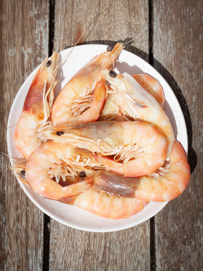 Cooked Whole Prawns SA