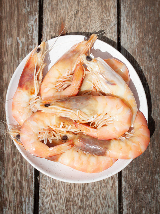 Cooked Whole Prawns SA