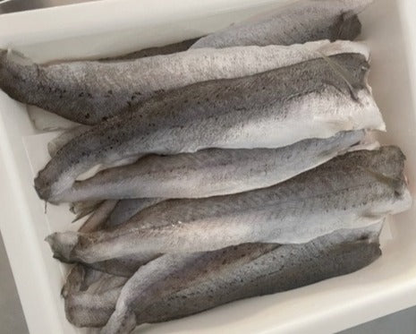 King George Whiting