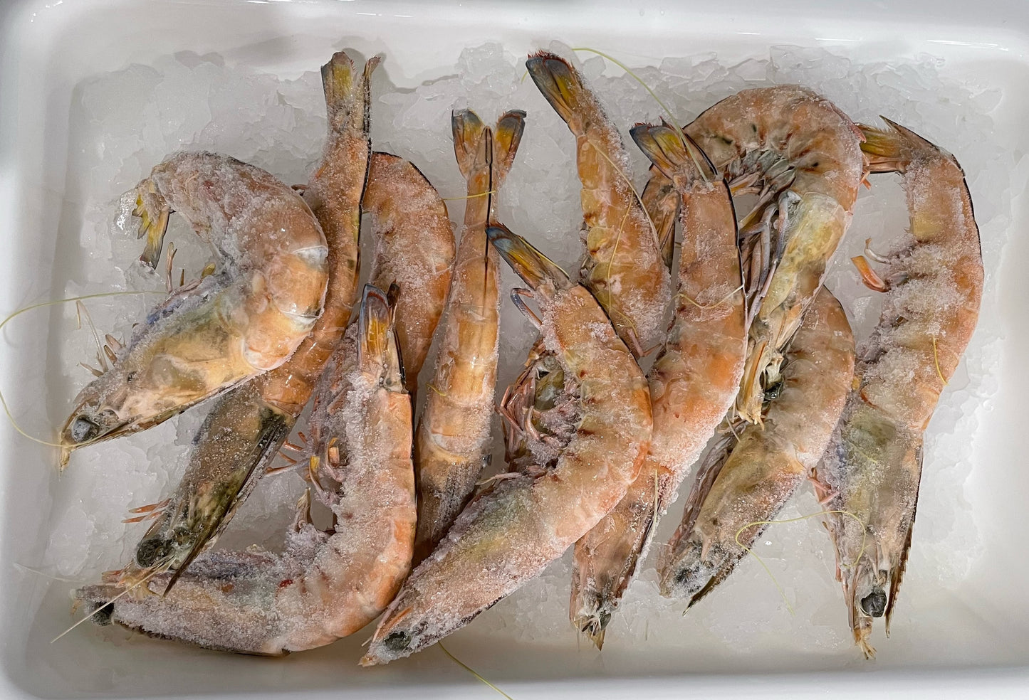 Green Whole Prawns SA