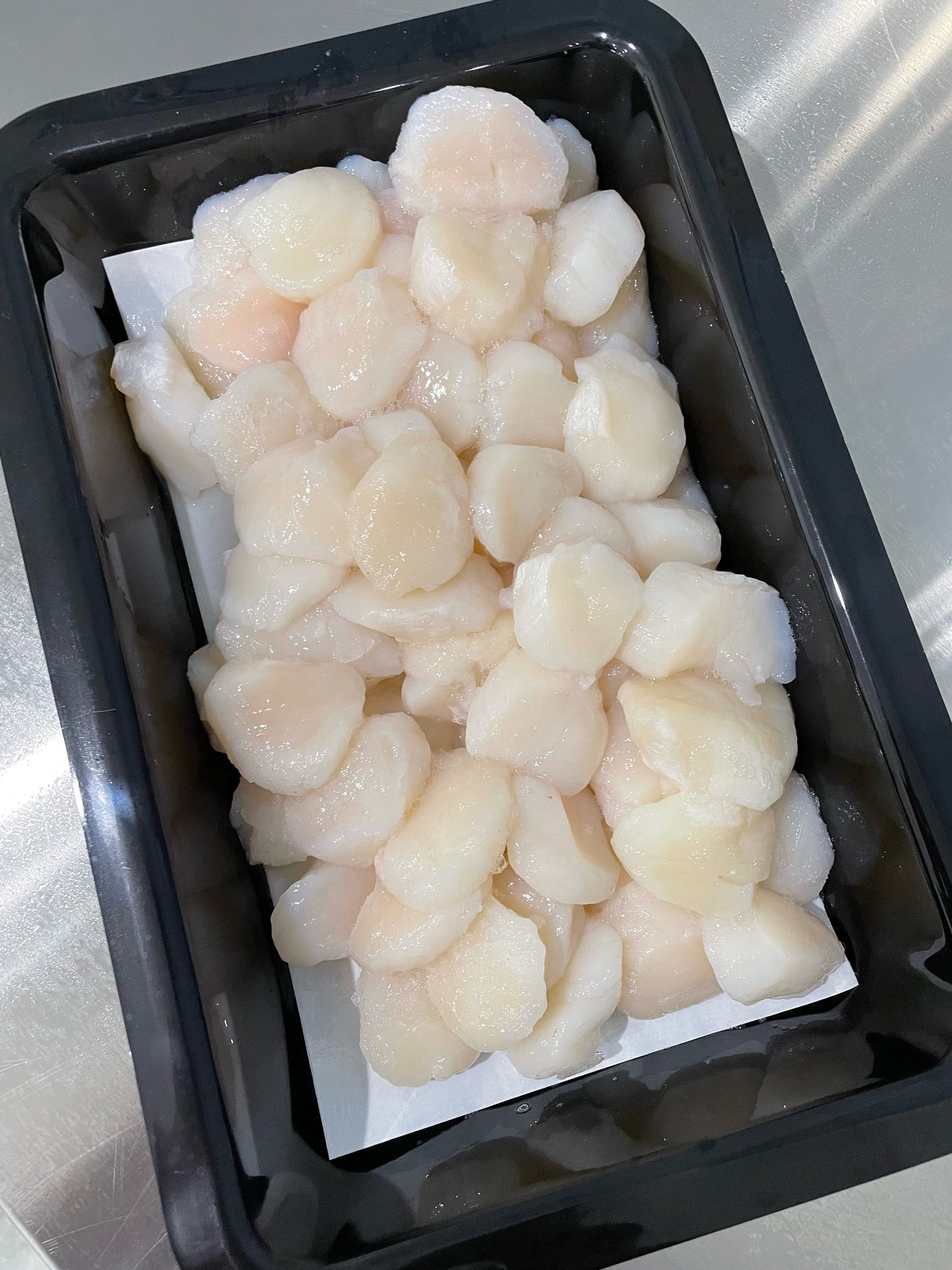 Scallop Meat