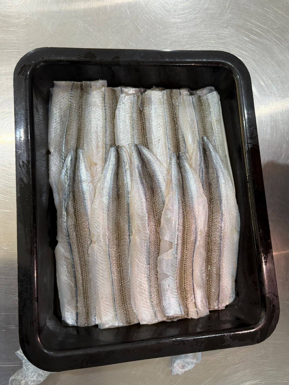 Garfish