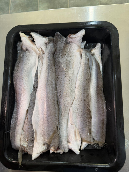 King George Whiting